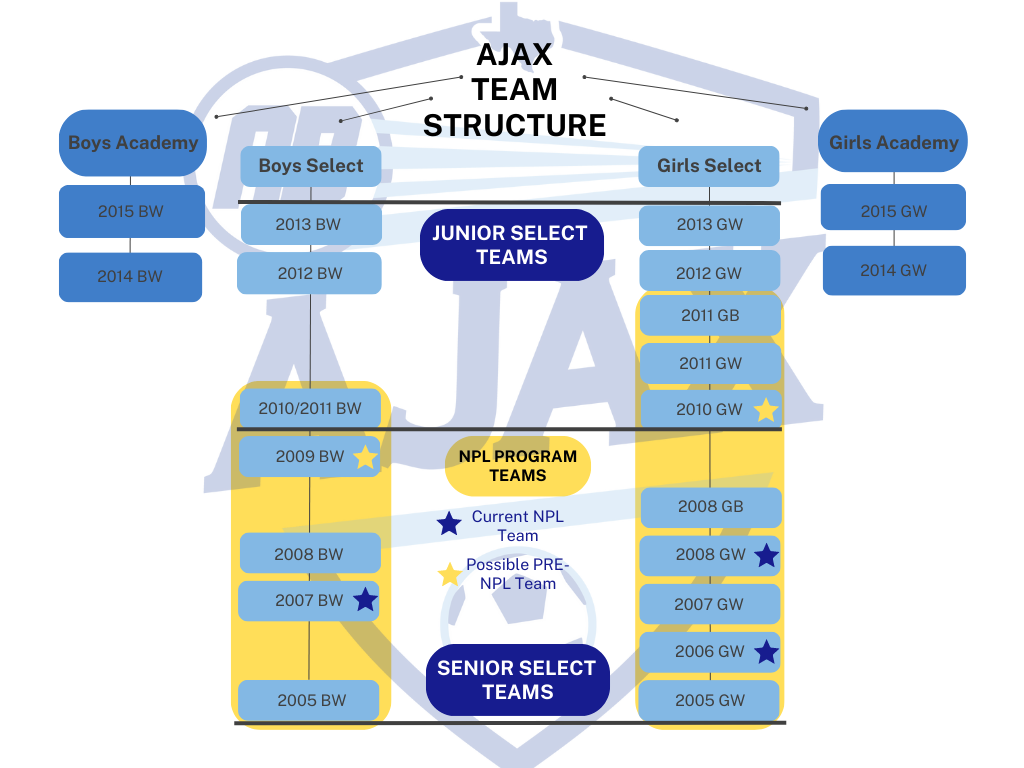AJAX TEAM Structure